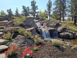 Basalt Lichen Specimen Boulders