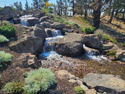 Basalt Lichen Specimen Boulders